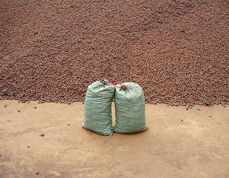 陶?；炷?></div> 

</div>
		</div>
	</div>



<div   id=